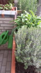 20190403_144759.jpg