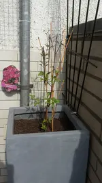 20190403_144857.webp