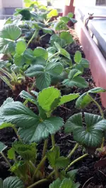 20190404_123826.webp