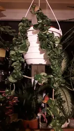 20190407_011611.jpg