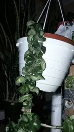 20190405_225347.webp