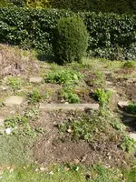 P1120321mein Beet.JPG