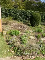 P1120326linkes Staudenbeet.JPG