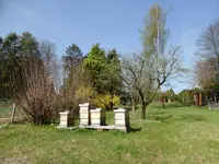 P1120335.webp
