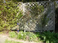 P1120363Terrassenbeet.webp