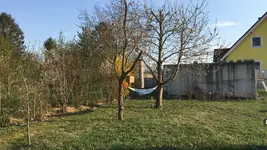 CAGC9381.webp