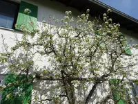 DSC00180.webp