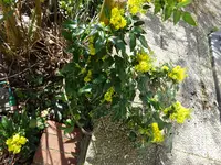 DSC00182.webp