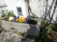 DSC00179.webp