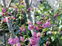 image001.webp