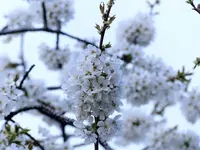 image004.webp