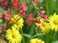image006.webp