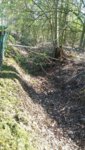 20190408_133814.jpg
