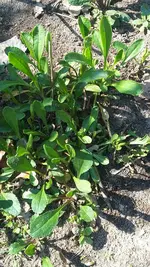20190408_133924.webp