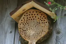 Insektenhotel0114a.webp