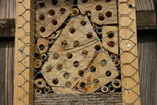 Insektenhotel0618.webp