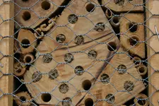 Insektenhotel0718.JPG