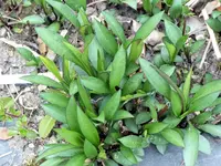 image001.webp