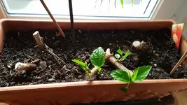 20190409_195241 (800x450).webp