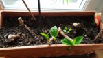 20190409_195241 (800x450).jpg