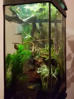 20190410_235107.jpg