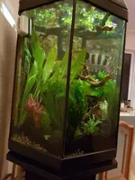 20190410_235125.webp