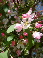 DSC05396.webp