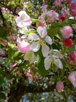 DSC05397.webp