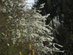 BILD0872.JPG