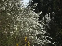 BILD0872.webp