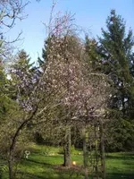 BILD0873.JPG