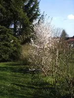 BILD0874.webp