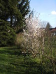 BILD0874.JPG