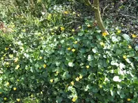 BILD0875.webp