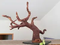 bonsai7.webp