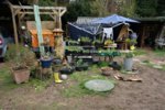 DSC07564.JPG