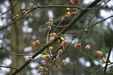 DSC07566.webp