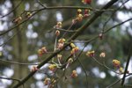 DSC07566.JPG