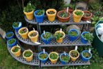 DSC07562.JPG