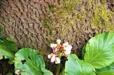 DSC07567.webp