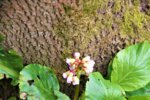 DSC07567.JPG