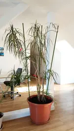 IMG_20190405_100319.webp