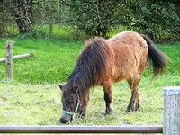 DSCI0767.webp