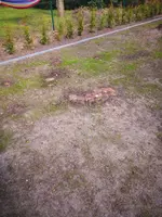 IMG_20190412_170213.webp