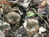 IMG-20190412-WA0011.webp