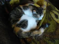 IMGP7601.webp
