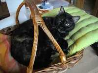IMGP7599.webp