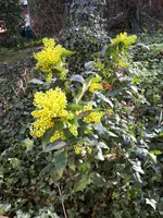 20190331_174845.webp