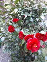 20190406_193731.webp