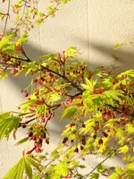 20190407_170429.webp